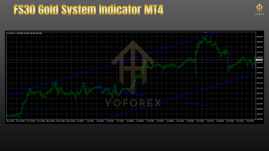 FS30 Gold System