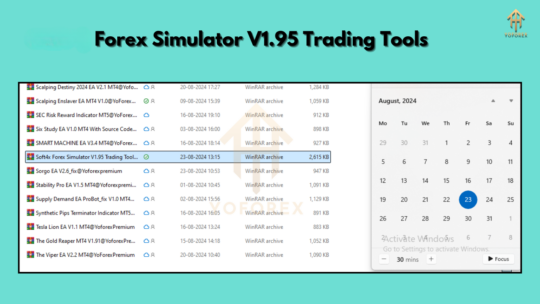 Forex Simulator V1.95