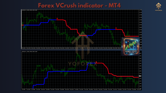 Forex VCrush Indicator MT4