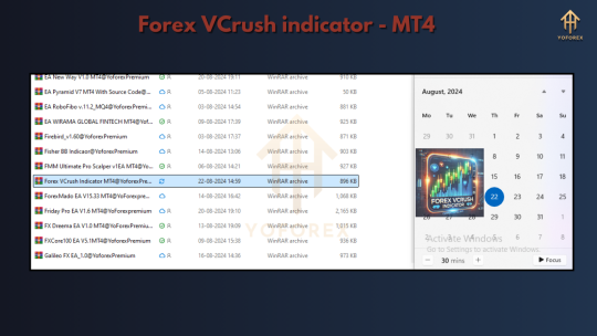 Forex VCrush indicator 3