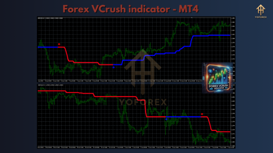 Forex VCrush Indicator MT4