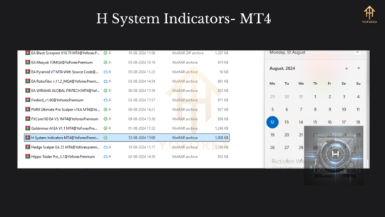 H System Indicators