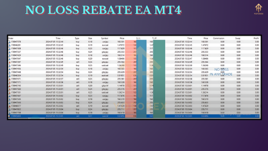 NO LOSS REBATE EA V1.0