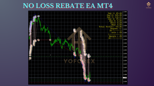 NO LOSS REBATE EA V1.0