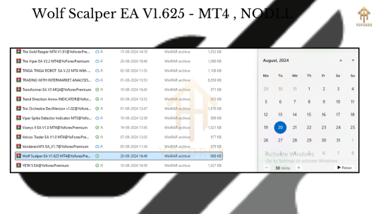 Wolf Scalper EA V1.625 MT4