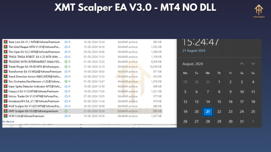 XMT Scalper EA V3.0