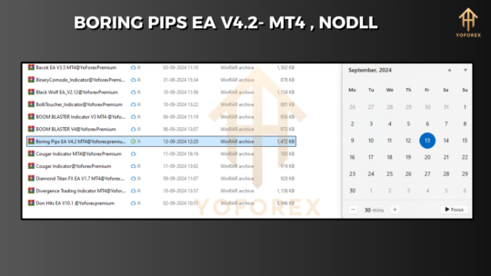 Boring Pips EA V4.2 MT4