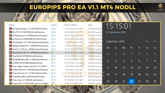 EuroPips Pro EA V1.1