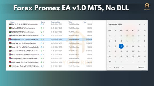 Forex Promex EA v1.0 for MT5