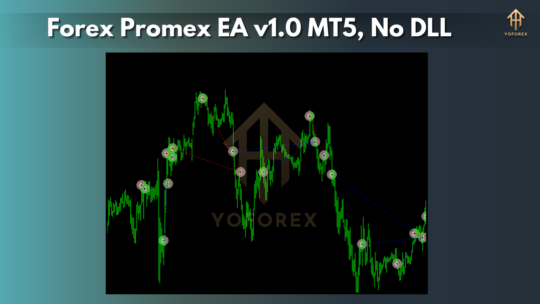 Forex Promex EA v1.0 for MT5