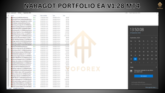 Naragot Portfolio EA V1.28