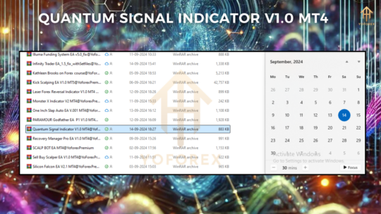 Quantum Signal Indicator V1.0 MT4