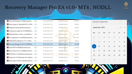 Recovery Manager Pro EA V1.0