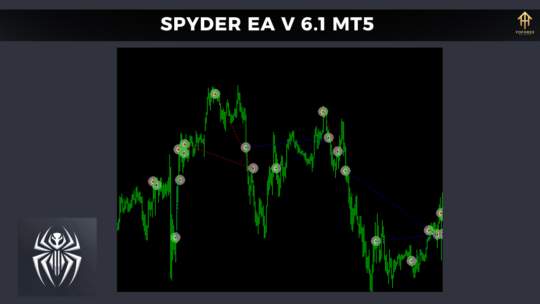 SPYDER EA V6.1