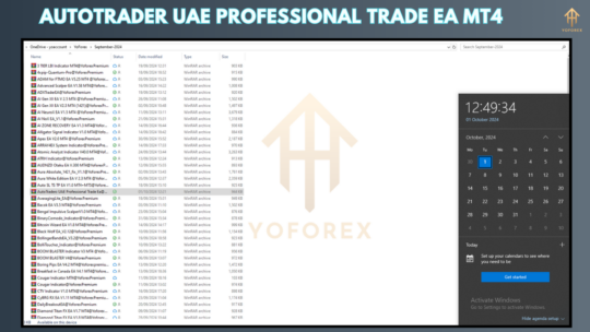 AutoTrader UAE Professional Trade EA V1.0