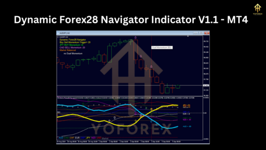 Dynamic Forex28 Navigator Indicator V1.1 MT4