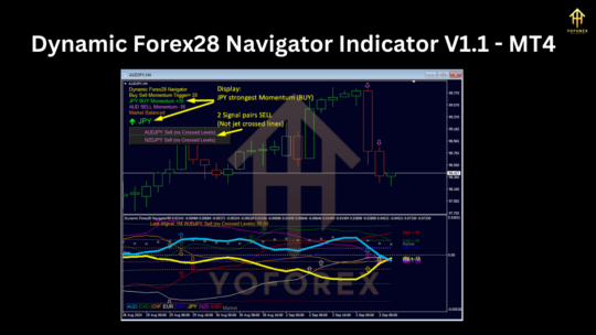 Dynamic Forex28 Navigator Indicator V1.1 MT4