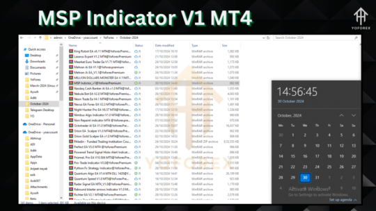 MSP Indicator V1