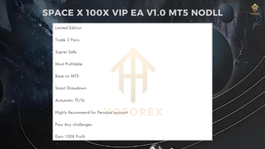 SpaceX 100X VIP EA v1.0