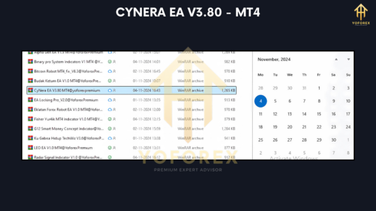 CyNera EA V3.80