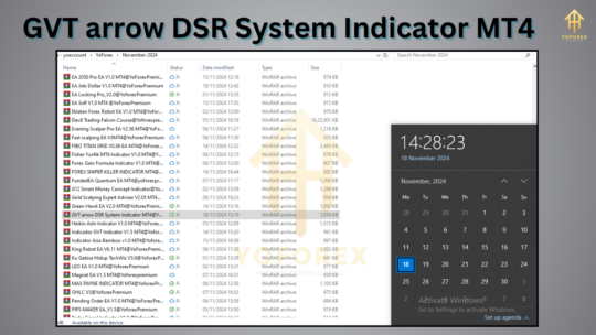 GVT arrow DSR System Indicator