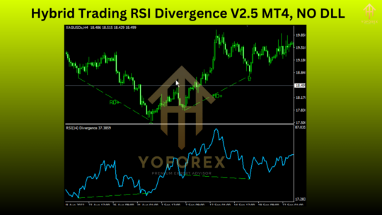 Hybrid Trading RSI Divergence EA V2.5