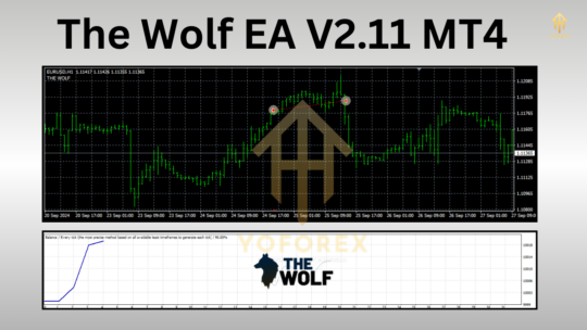 Wolf EA V2.11 MT4