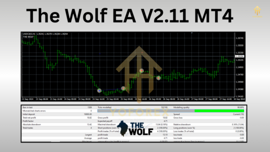 Wolf EA V2.11 MT4