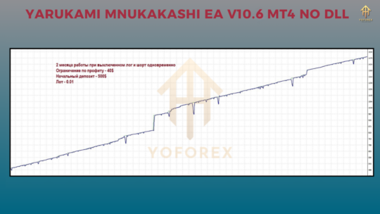 Yarukami Mnukakashi EA V10.6