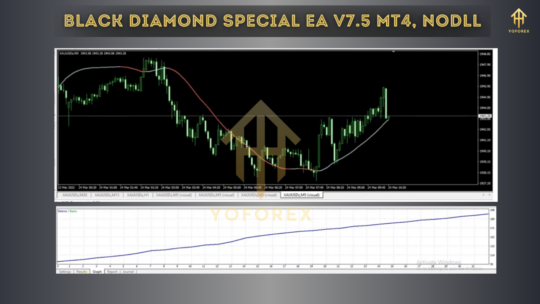 Black Diamond Special EA V7.5