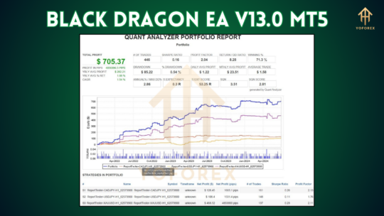 Black Dragon EA V13.0