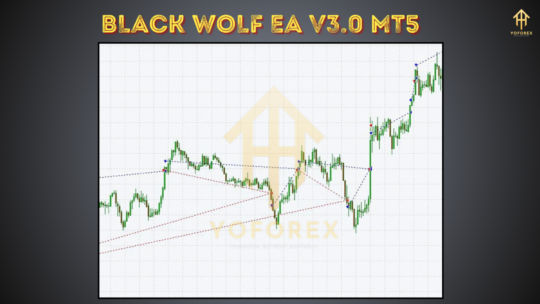 Black Wolf EA V3.0