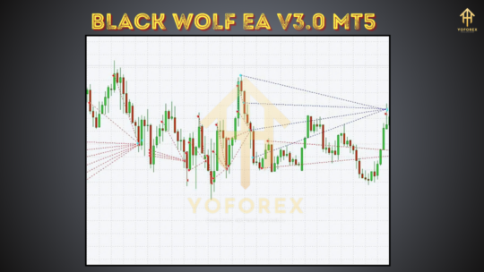 Black Wolf EA V3.0