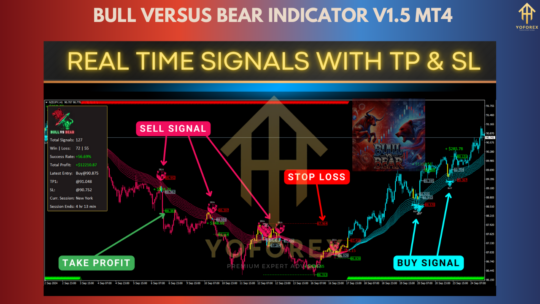 Bull versus Bear Indicator V1.5