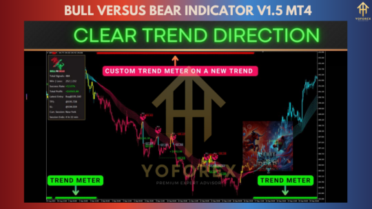 Bull versus Bear Indicator V1.5