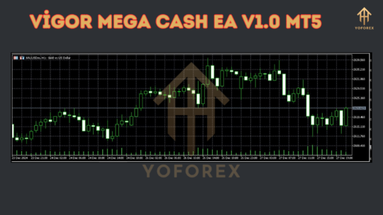 Vigor MEGA Cash EA V1.0