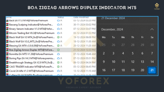 Boa ZigZag Arrows Duplex Indicator V1.00