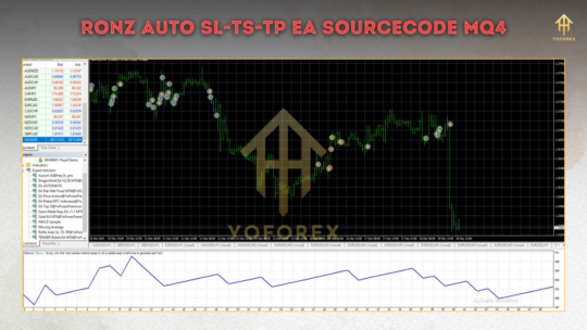 RoNz Auto SL TS TP EA SourceCode V2.06