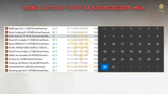 RoNz Auto SL TS TP EA SourceCode V2.06