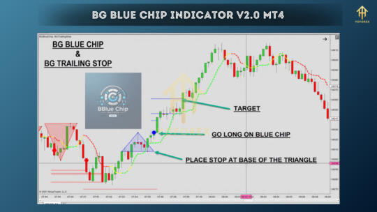 BG Blue Chip Indicator V2.0