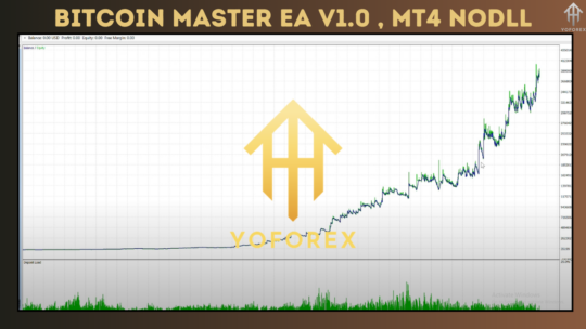 Bitcoin Master EA V1.0