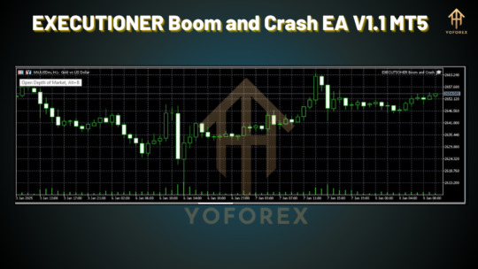 EXECUTIONER Boom and Crash EA V1.1