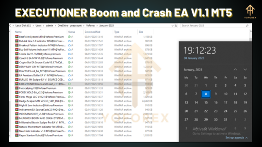 EXECUTIONER Boom and Crash EA V1.1