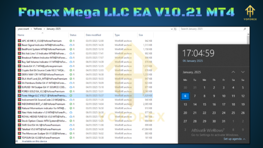 Forex Mega LLC EA V10.21