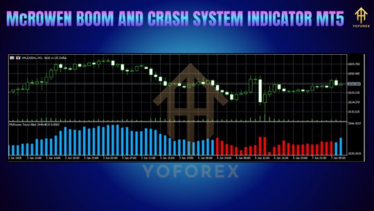 McROWEN BOOM AND CRASH SYSTEM INDICATOR