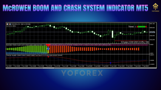 McROWEN BOOM AND CRASH SYSTEM INDICATOR