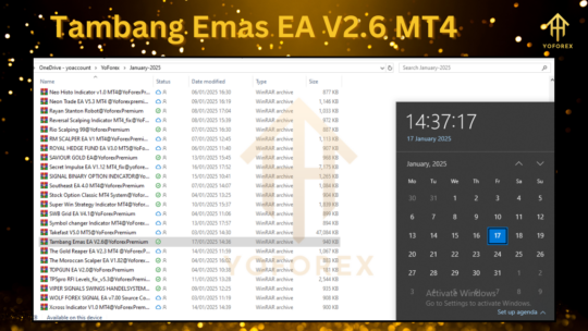 Tambang Emas EA V2.6