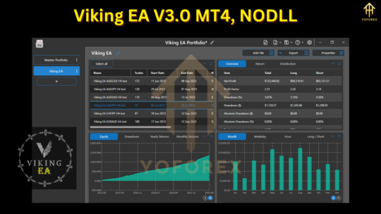 Viking EA V3.0