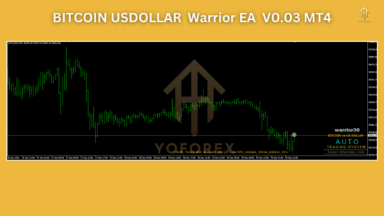 BITCOIN USDOLLAR Warrior EA V0.03