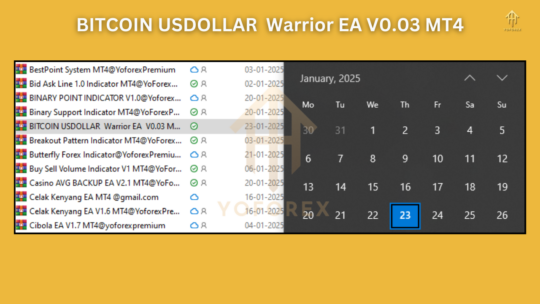 BITCOIN USDOLLAR Warrior EA V0.03